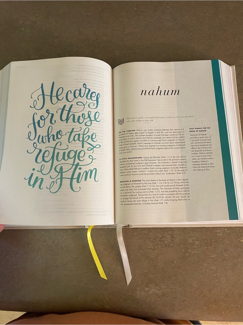 She Reads Truth Bible - Picture 2 of 5